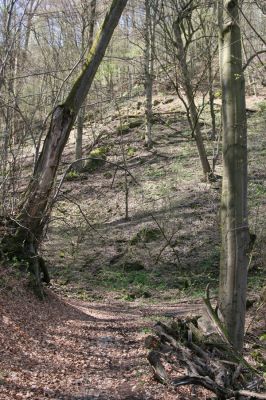 Vranov, 16.4.2015
Kaňon Svitavy - Jelení skok. Cyrilometodějská stezka. 
Klíčová slova: Vranov Kaňon Svitavy Jelení skok Cyrilometodějská stezka