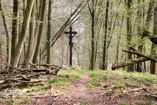 Vranov, 16.4.2015
Kaňon Svitavy - Jelení skok, U Kříže.
Schlüsselwörter: Vranov Kaňon Svitavy Jelení skok U Kříže