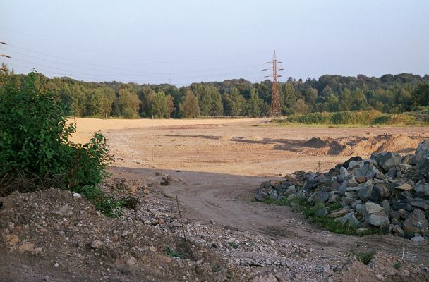 Hrabová - Vratimov, 20.7.2003
Prostor po odtěžené obrovské haldě hlušiny. V pozadí lokalita Na luhu - biotop kovaříků Adrastus circassicus a Betarmon bisbimaculatus.
Schlüsselwörter: Ostrava Hrabová Vratimov Na Luhu Ostravice Adrastus circassicus Betarmon bisbimaculatus