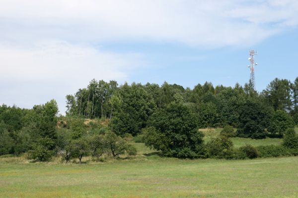 Velký Vřešťov, 19.8.2008
Stará třešňovka na úpatí kopce severovýchodně od Velkého Vřešťova. Biotop krasce Anthaxia candens.
Mots-clés: Velký Vřešťov třešňovka Anthaxia candens