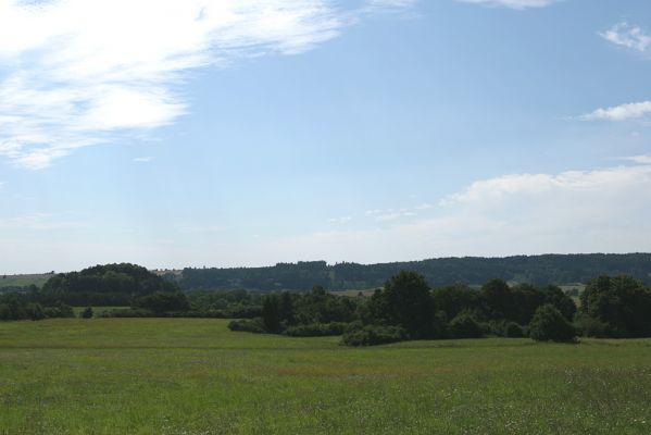 Velký Vřešťov, 19.8.2008
Pohled od staré třešňovky na jihozápad na kotlinu Velkého Vřešťova. Na okrajích louky začínají stepní svahy.
Klíčová slova: Velký Vřešťov