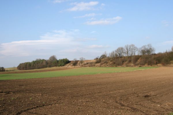 Výrava, 11.11.2008
Podél obce se táhnou jihozápadní svahy vrchu Hřiby, na kterých je několik zarůstajících stepí.
Klíčová slova: Výrava step