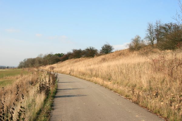 Výrava, 11.11.2008
Podél obce se táhnou jihozápadní svahy vrchu Hřiby, na kterých je několik zarůstajících stepí.
Klíčová slova: Výrava step