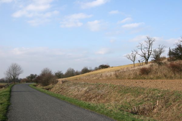 Výrava, 11.11.2008
Rozsáhlá třešňovka a stepi u východního okraje obce u silnice na Jílovice. biotop krasce Anthaxia candens.
Klíčová slova: Výrava třešňovka Anthaxia candens