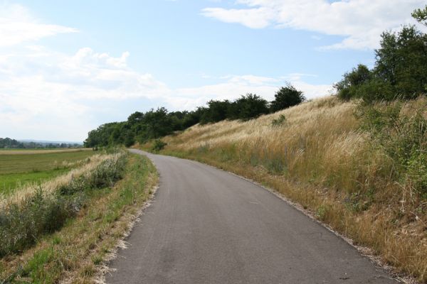 Výrava, 28.6.2008
Nová asfaltka na severovýchodním okraji obce. Zarůstající stepi na svazích vrchu Hřiby. 
Klíčová slova: Výrava step