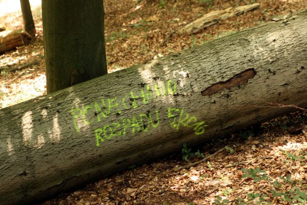 Vysoké Chvojno, 4.8.2016
Prácheňská stráň (PR U parku).



Klíčová slova: Vysoké Chvojno Prácheňská stráň PR U parku