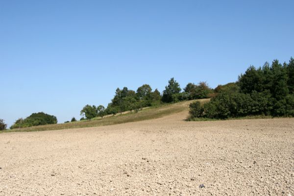 Vysoké Mýto - Bučkův kopec, 9.9.2009
Sad na jihozápadním svahu kopce.
Klíčová slova: Vysoké Mýto Bučkův kopec