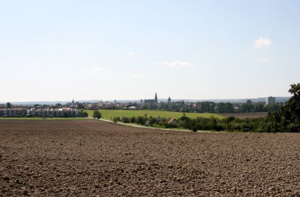 Vysoké Mýto - Bučkův kopec, 9.9.2009
Pohled z Bučkova kopce na Vysoké Mýto.
Schlüsselwörter: Vysoké Mýto Bučkův kopec