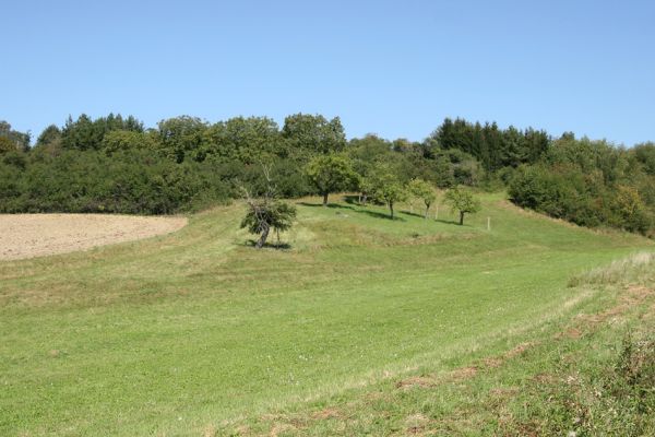 Vysoké Mýto - Bučkův kopec, 9.9.2009
Malý sad na jihozápadním svahu kopce.
Schlüsselwörter: Vysoké Mýto Bučkův kopec