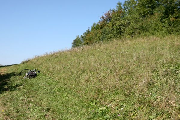 Vysoké Mýto - Bučkův kopec, 9.9.2009
Malá stepka na jihozápadním svahu kopce.
Mots-clés: Vysoké Mýto Bučkův kopec