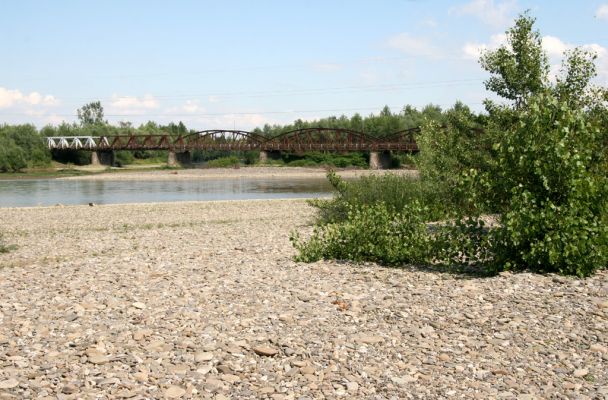 Vyškovo, 22.6.2011
Štěrkové náplavy Tisy.
Schlüsselwörter: Vyškovo řeka Tisa