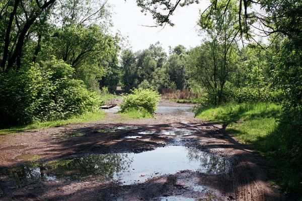 Vyšní Lhoty, 23.5.2003
Brod přes řeku Morávku.
Mots-clés: Vyšní Lhoty, Morávka