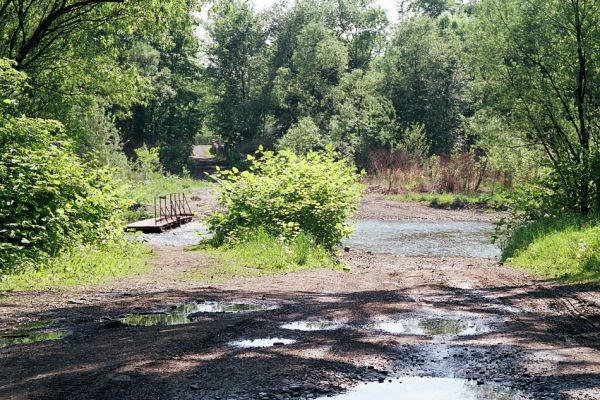 Vyšní Lhoty, 23.5.2003
Brod přes řeku Morávku. 
Schlüsselwörter: Vyšní Lhoty, Morávka