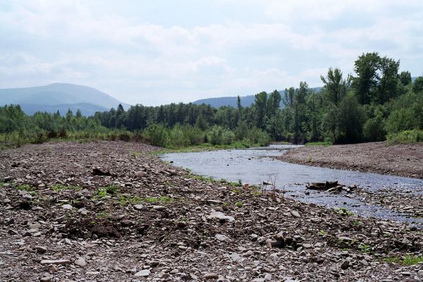 Vyšní Lhoty, 23.5.2003
Štěrkové náplavy u břehů řeky Morávky. Na obzoru vrch Travný.
Klíčová slova: Vyšní Lhoty, Morávka Fleutiauxellus maritimus