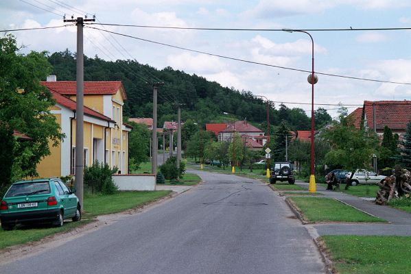 Vysoká nad Labem - vrch Lhota, 18.7.2004
Dnes již Lhotu návštěvníci nepoznají. Krása třešňovky a stepi zmizela - byla osázena borovicemi. 
Mots-clés: Vysoká nad Labem Lhota step Agriotes gallicus..