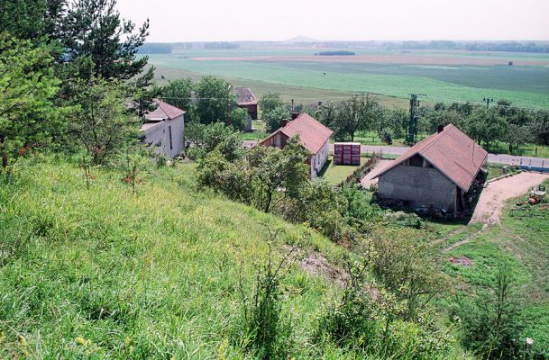 Vysoká nad Labem - vrch Lhota, 18.7.2004
Stepní vagetace na úpatí Lhoty. Pohled na ves.
Schlüsselwörter: Vysoká nad Labem Lhota step Agriotes gallicus..