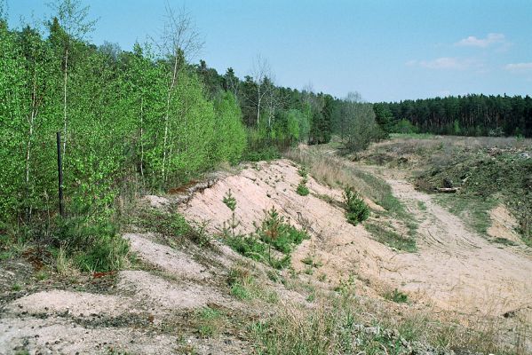 Vysoká nad Labem - pískovna, 22.4.2005
Bývalá pískovna na kopci nad obcí. Zbytky kdysi pestrého života se uchovaly na jeho okraji.
Keywords: Vysoká nad Labem pískovna