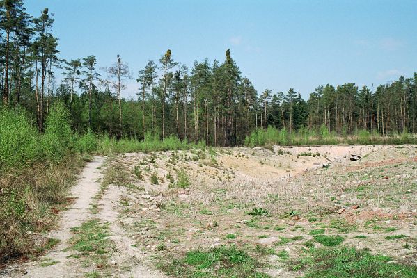 Vysoká nad Labem - pískovna, 22.4.2005
Pískovna na kopci nad obcí. Bývalý ráj pískomilného hmyzu a entomologů. Dnes  uložiště stavebního odpadu.
Mots-clés: Vysoká nad Labem pískovna