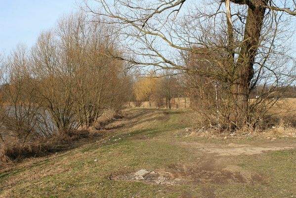 Vysoká nad Labem-Petrofova jezera-23.2.2008
Cesta podél Labe k Petrofovým jezerům.
Klíčová slova: Vysoká nad Labem břeh Labe Petrofova jezera Throscidae