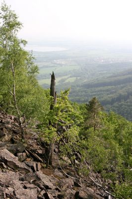 Horní Jiřetín, Jezeří, Jezerka, 9.5.2009
Suťový les na jihozápadním svahu.
Keywords: Vysoká Pec Jezerka