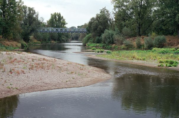 Vysoká nad Labem-labský jez, 16.9.2004
Štěrkopísčité naplaveniny osídlené kovaříky Zorochros quadriguttatus a Negastrius sabulicola. V pozadí most do Opatovic.
Keywords: Vysoká nad Labem Labe jez Zorochros quadriguttatus Negastrius sabulicola