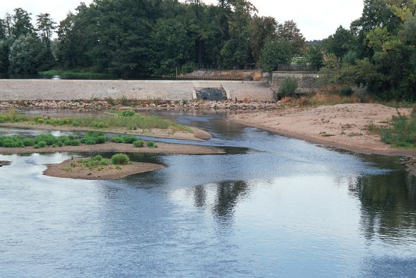 Vysoká nad Labem-labský jez, 16.9.2004
Štěrkopísčité naplaveniny osídlené kovaříky Zorochros quadriguttatus a Negastrius sabulicola
Schlüsselwörter: Vysoká nad Labem Labe jez Zorochros quadriguttatus Negastrius sabulicola