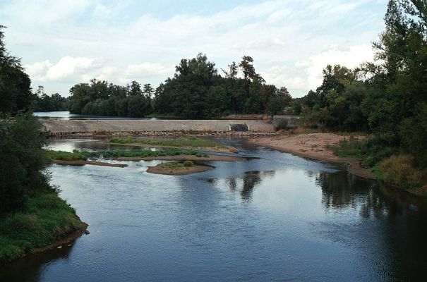 Vysoká nad Labem-labský jez, 16.9.2004
Štěrkopísčité naplaveniny osídlené kovaříky Zorochros quadriguttatus a Negastrius sabulicola
Schlüsselwörter: Vysoká nad Labem Labe jez Zorochros quadriguttatus Negastrius sabulicola