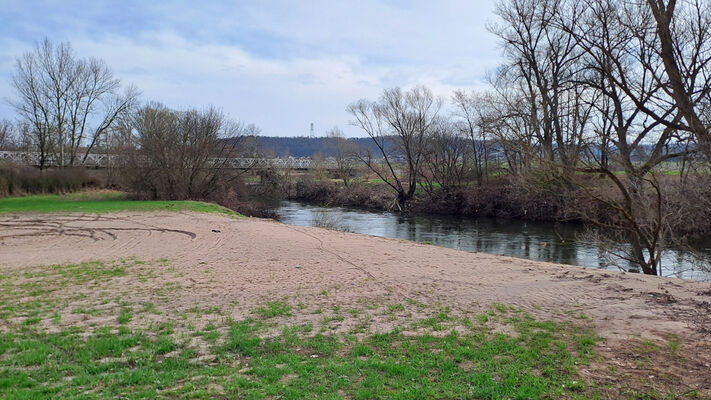 Opatovice nad Labem, 11.3.2024
Písčité náplavy na pravém břehu Labe u mostu na Vysokou. 
Schlüsselwörter: Opatovice nad Labem Velký ostrov Labe