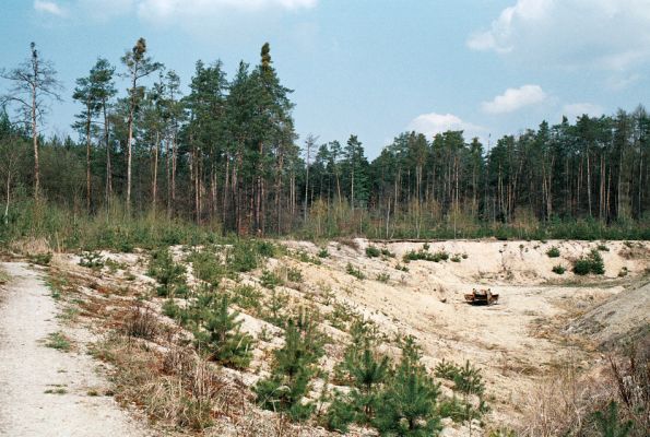 Vysoká nad Labem, pískovna, 21.4.2006
Pískovna na kopci nad obcí. Bývalý ráj pískomilného hmyzu a entomologů. Dnes uložiště stavebního odpadu.
Keywords: Vysoká nad Labem pískovna