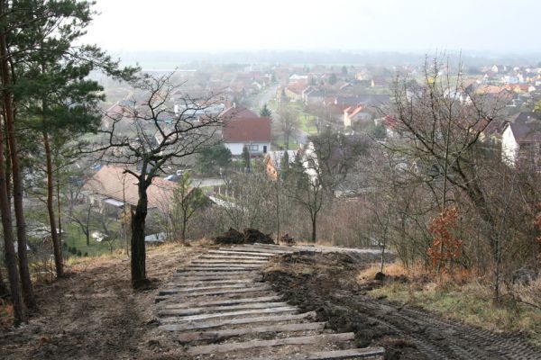 Vysoká nad Labem, 25.11.2012
Schodiště z pražců na vrch Lhota.
Klíčová slova: Vysoká nad Labem Lhota step Anthaxia candens