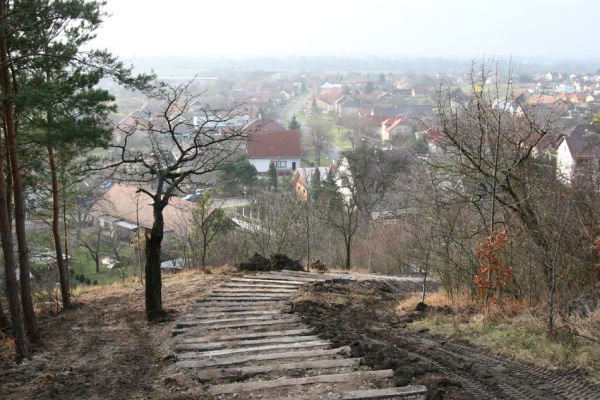 Vysoká nad Labem, 25.11.2012
Schodiště z pražců na vrch Lhota.
Keywords: Vysoká nad Labem Lhota step Anthaxia candens