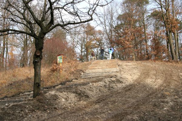 Vysoká nad Labem, 25.11.2012
Schodiště z pražců na vrch Lhota.
Klíčová slova: Vysoká nad Labem Lhota step Anthaxia candens Agriotes gallicus