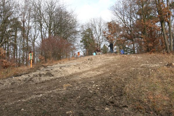 Vysoká nad Labem, 25.11.2012
Schodiště z pražců na vrch Lhota.
Klíčová slova: Vysoká nad Labem Lhota step Agriotes gallicus