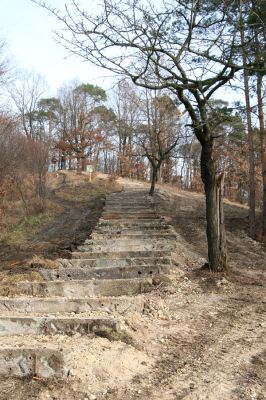 Vysoká nad Labem, 25.11.2012
Schodiště z pražců na vrch Lhota.
Klíčová slova: Vysoká nad Labem Lhota step Anthaxia candens