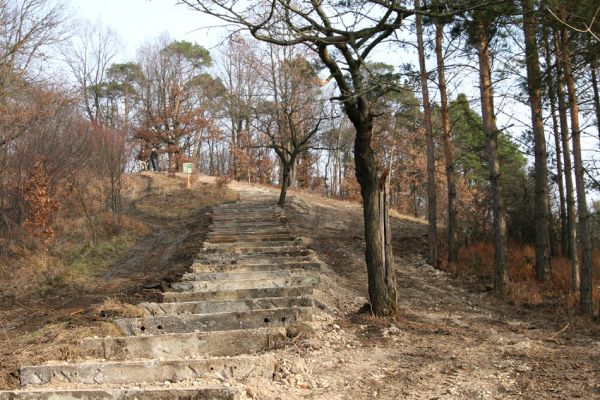 Vysoká nad Labem, 25.11.2012
Schodiště z pražců na vrch Lhota.
Klíčová slova: Vysoká nad Labem Lhota step Anthaxia candens