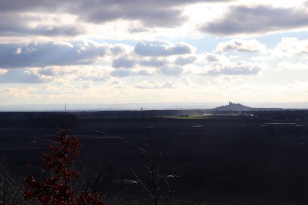 Vysoká nad Labem, 26.12.2020
Milíř - pohled Kunětickou horu.
Klíčová slova: Vysoká nad Labem Milířský kopec Milíř Kunětická hora