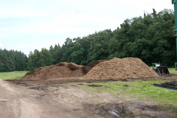 Vysoké Chvojno, 16.8.2011
Plocha u silnice na Borohrádek na které se frézují kmeny do průměru 60 cm.
Klíčová slova: Vysoké Chvojno Hylis olexai Cucujus cinnaberinus