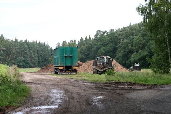 Vysoké Chvojno, 16.8.2011
Plocha u silnice na Borohrádek na které se frézují kmeny do průměru 60 cm.
Schlüsselwörter: Vysoké Chvojno Hylis olexai Cucujus cinnaberinus