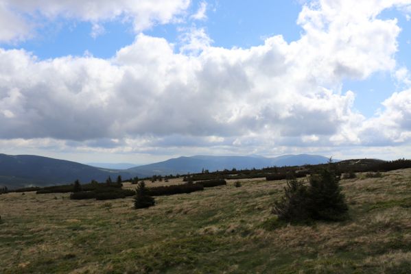 Vítkovice, 23.6.2020
Krkonoše - pohled od Harrachových kamenů na východní Krkonoše.
Mots-clés: Vítkovice Krkonoše Harrachovy kameny Stříbrný hřbet Sněžka Luční hora