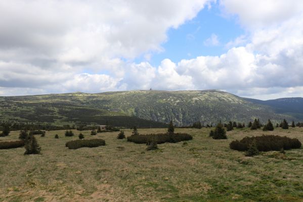 Vítkovice, 23.6.2020
Krkonoše - pohled od Harrachových kamenů na Vysoké kolo.
Klíčová slova: Vítkovice Krkonoše Harrachovy kameny Vysoké kolo