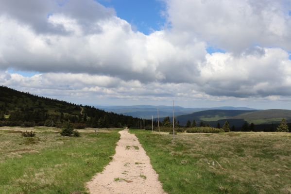 Vítkovice, 23.6.2020
Krkonoše - cesta od Harrachových kamenů k pramenům Velké Mumlavy.
Klíčová slova: Vítkovice Krkonoše Harrachovy kameny Jizerské hory