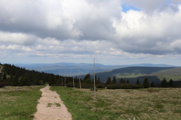 Vítkovice, 23.6.2020
Krkonoše - cesta od Harrachových kamenů k pramenům Velké Mumlavy.
Keywords: Vítkovice Krkonoše Velká Mumlava Jizerské hory