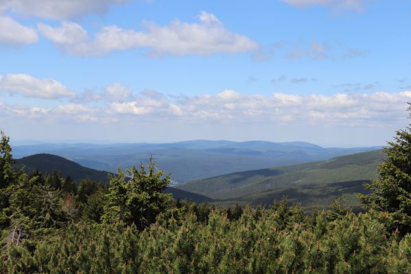 Vítkovice, 23.6.2020
Krkonoše - pohled od pramenů Velké Mumlavy na Jizerské hory.
Keywords: Vítkovice Krkonoše Velká Mumlava Jizerské hory