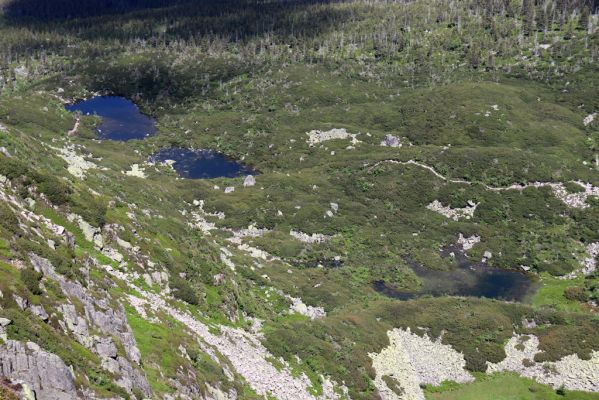 Krkonoše, 23.6.2020
Sněžné jámy.
Klíčová slova: Krkonoše Sněžné jámy