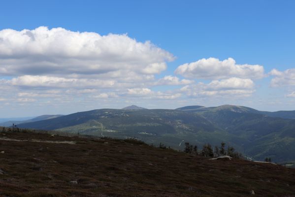 Špindlerův Mlýn, 23.6.2020
Pohled od Vysokého kola na východní část Krkonoš.
Klíčová slova: Špindlerův Mlýn Krkonoše Vysoké kolo Stříbrný hřbet Luční hora Sněžka