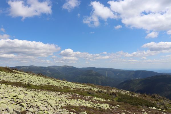 Špindlerův Mlýn, 23.6.2020
Pohled od Vysokého kola na východní část Krkonoš.
Klíčová slova: Špindlerův Mlýn Krkonoše Vysoké kolo Stříbrný hřbet Luční hora Sněžka