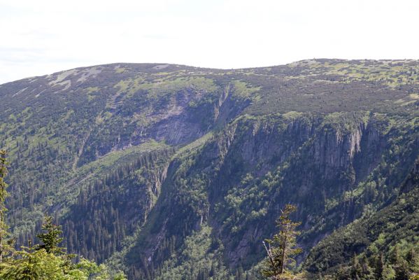 Špindlerův Mlýn, 23.6.2020
Pohled od Vysokého kola přes Harrachovu jámu na Zlaté návrší.
Schlüsselwörter: Špindlerův Mlýn Krkonoše Zlaté návrší Labský důl Harrachova jáma Vysoké kolo