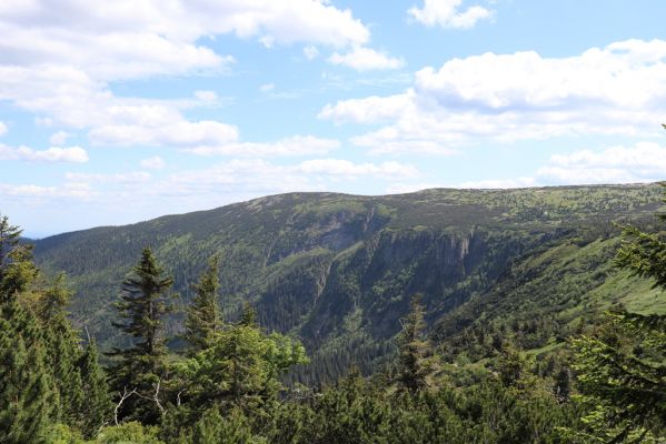 Špindlerův Mlýn, 23.6.2020
Pohled od Vysokého kola přes Harrachovu jámu na Zlaté návrší.
Klíčová slova: Špindlerův Mlýn Krkonoše Zlaté návrší Labský důl Harrachova jáma Vysoké kolo