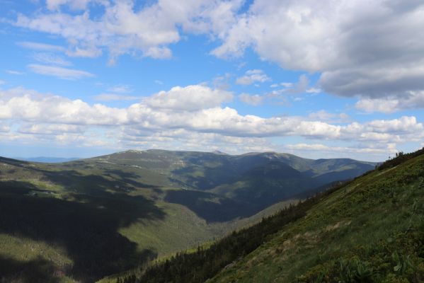 Špindlerův Mlýn, 23.6.2020
Pohled od Zlatého návrší na východní část Krkonoš.
Keywords: Špindlerův Mlýn Krkonoše Zlaté návrší Labský důl Stříbrný hřbet Luční hora Sněžka