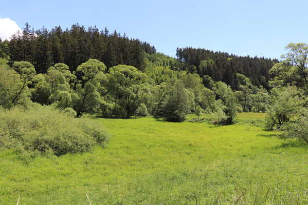 Zlatá Olešnice, 2.6.2022
Louky v údolí Ličné.
Keywords: Zlatá Olešnice řeka Ličná